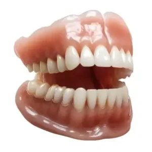 𝐇𝐢𝐝𝐨𝐧𝐞® - 𝐏𝐫𝐞𝐦𝐢𝐮𝐦 𝐆𝐞𝐛𝐢𝐬𝐬🦷