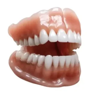 𝐇𝐢𝐝𝐨𝐧𝐞® - 𝐏𝐫𝐞𝐦𝐢𝐮𝐦 𝐆𝐞𝐛𝐢𝐬𝐬🦷