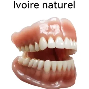 𝐇𝐢𝐝𝐨𝐧𝐞® - 🚀𝐏𝐫𝐨𝐭𝐡è𝐬𝐞 𝐃𝐞𝐧𝐭𝐚𝐢𝐫𝐞 𝐏𝐫𝐞𝐦𝐢𝐮𝐦 (⏰Remise à durée limitée : 30 dernières minutes⏰)