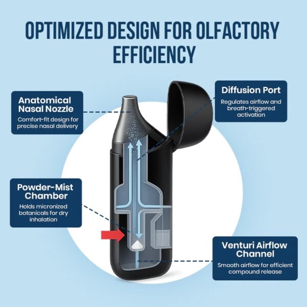 DAFEILA® FreshLoom Cognitive Regeneration Inhaler