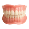LAOZIK™-Advanced Custom-Fit Functional Dentures