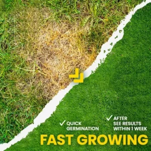 AEXZR® Green Lawn Grass Sunny Spray