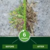 Hidone® 2 in 1 Max Power Herbicide