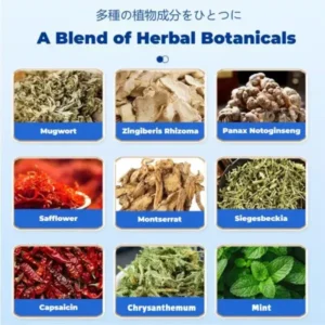 Hidone™ Back Pain Patch Natural Pain Relief Patches