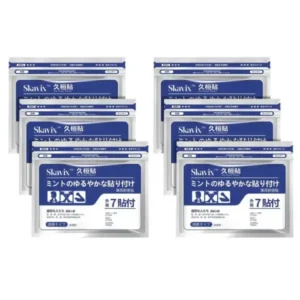 Hidone™ Back Pain Patch Natural Pain Relief Patches