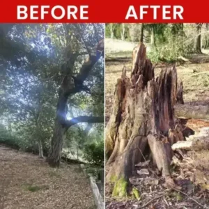 LIMETOW® Weed Killer Spray