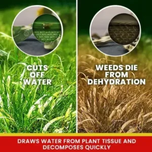LIMETOW® Weed Killer Spray